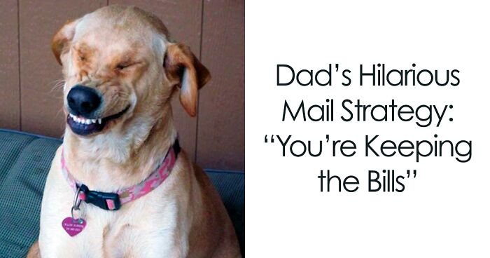 55+ Dad Jokes Memes That Prove Dad Humor Rules