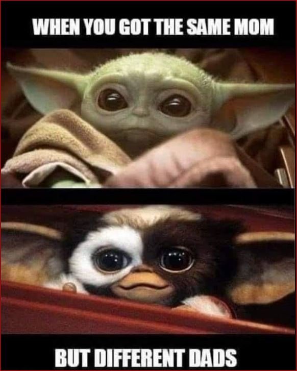 55+ Dad Jokes Memes That Prove Dad Humor Rules