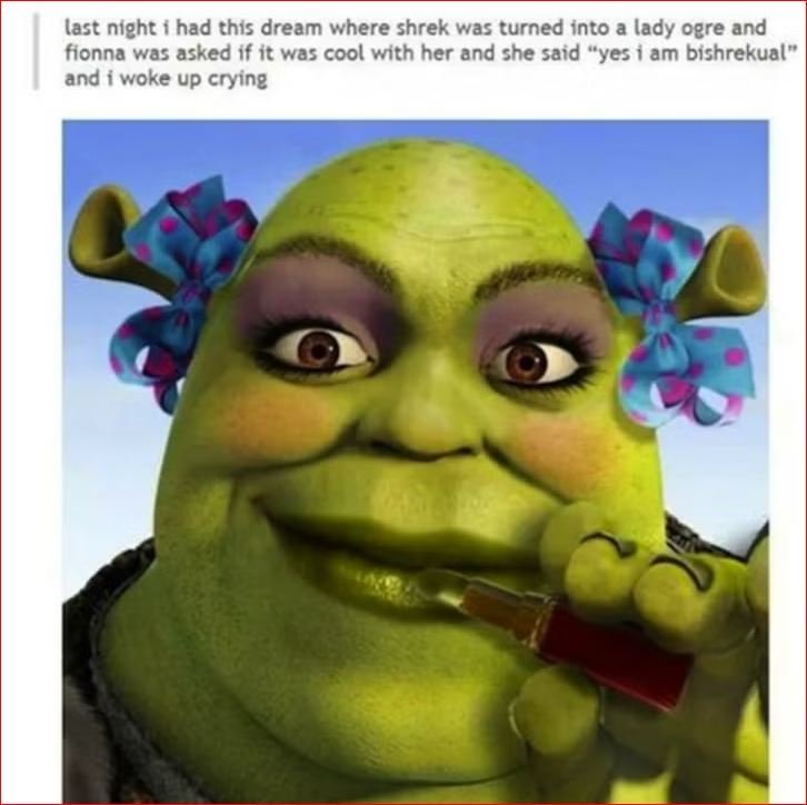 shrek memes pictures