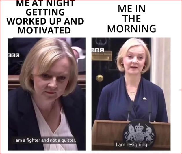 memes about life struggles