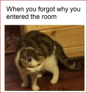 happy memes about life