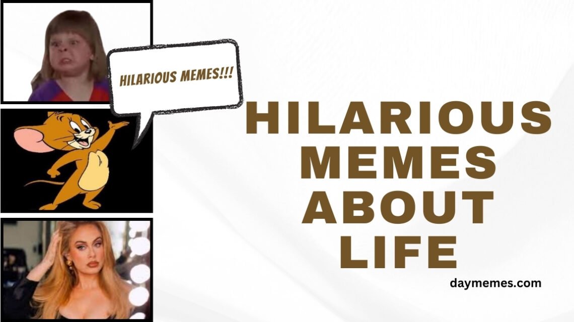 Hilarious Memes About Life