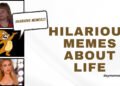 Hilarious Memes About Life