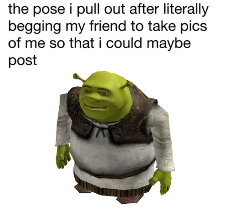 shrek memes dirty
