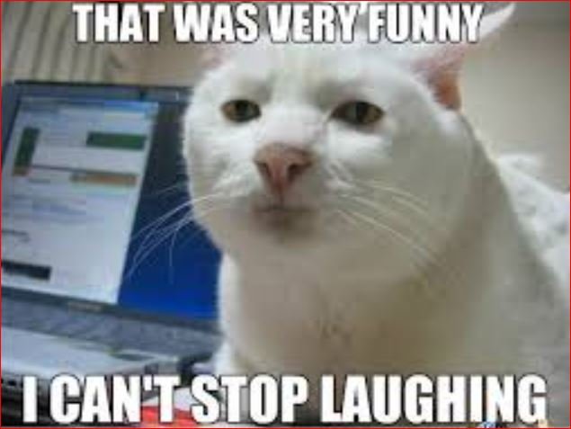 68+ Hilarious Memes About Life That Crush Reality