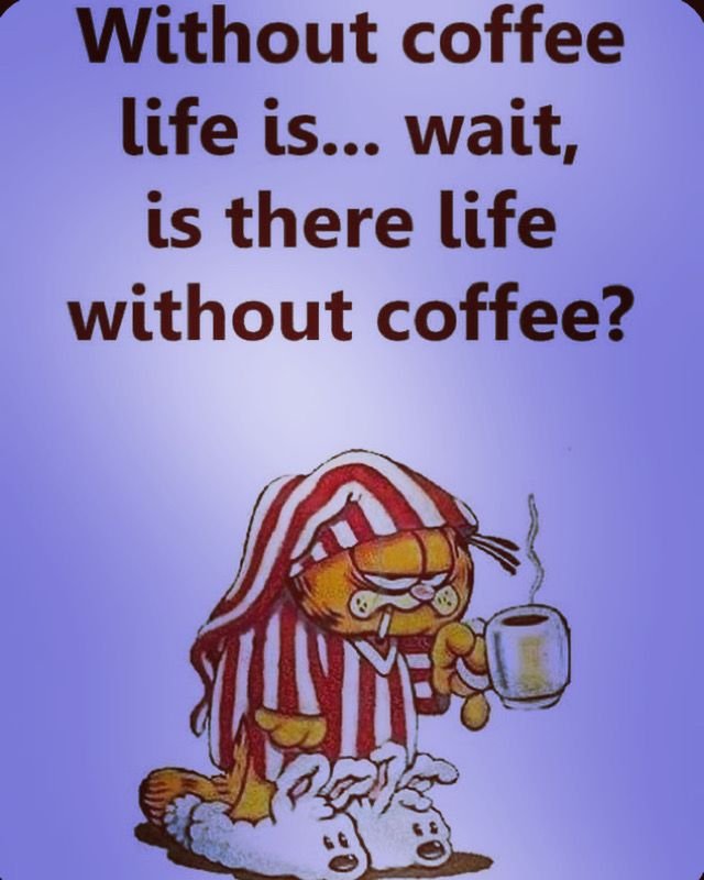 memes about life struggles