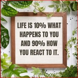 68+ Hilarious Memes About Life That Crush Reality