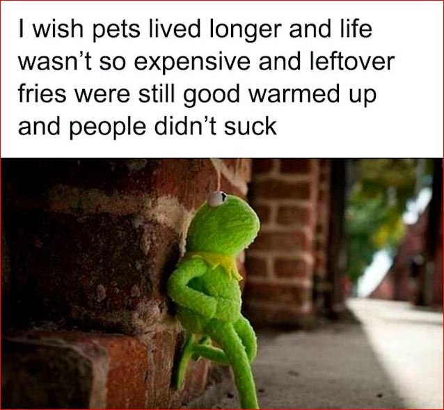 68+ Hilarious Memes About Life That Crush Reality