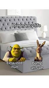  funny shrek memes
