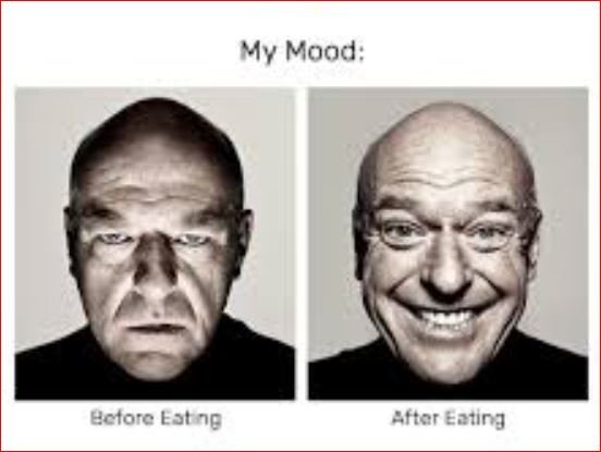 68+ Hilarious Memes About Life That Crush Reality