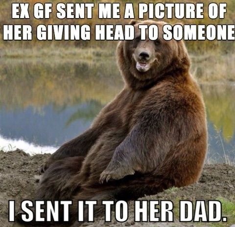 55+ Dad Jokes Memes That Prove Dad Humor Rules