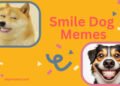 Smile Dog Memes