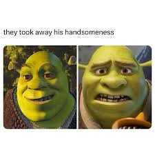 shrek memes dirty
