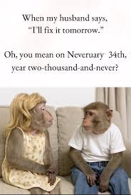 68+ Hilarious Memes About Life That Crush Reality