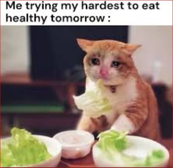 68+ Hilarious Memes About Life That Crush Reality