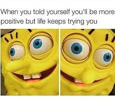 68+ Hilarious Memes About Life That Crush Reality